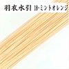 羽衣水引　ミントオレンジ