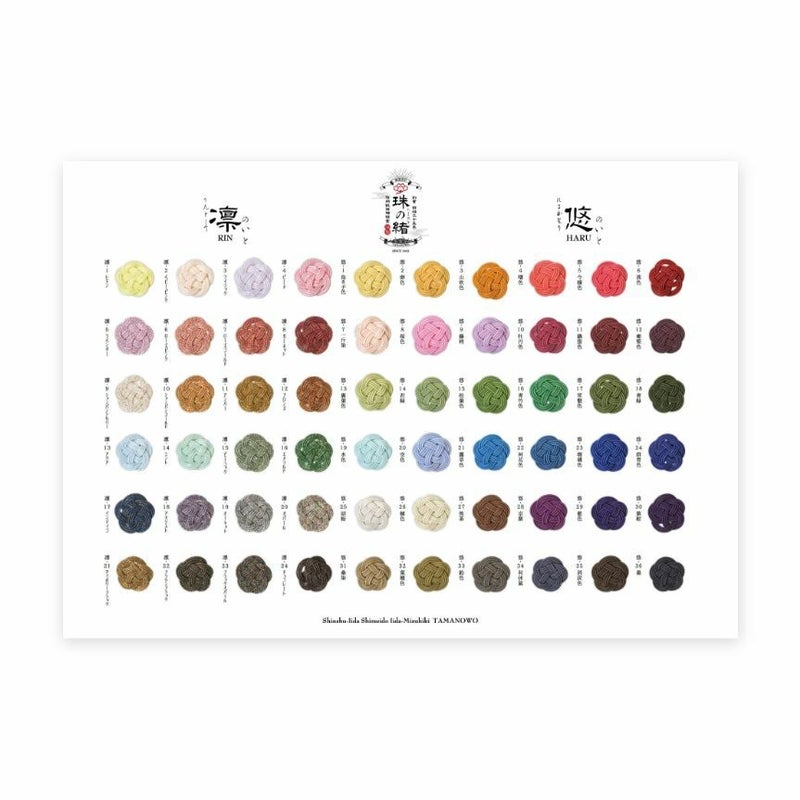 高級絹巻と羽衣水引　見本　パネルカタログ